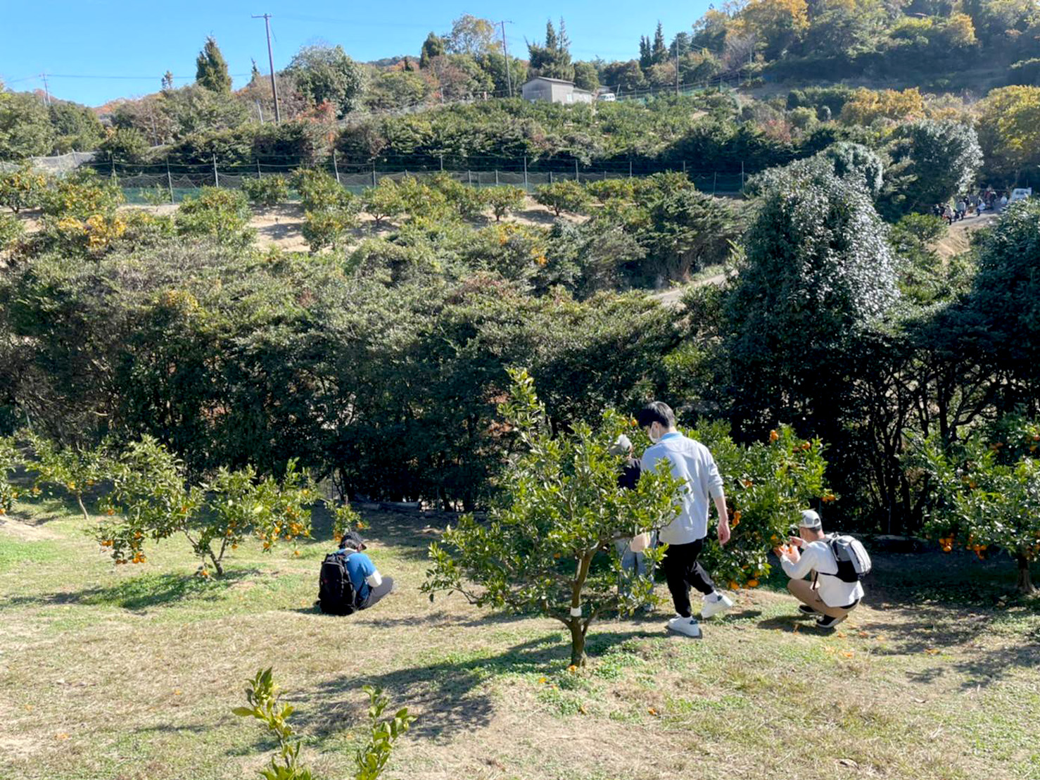 アウトドア活動